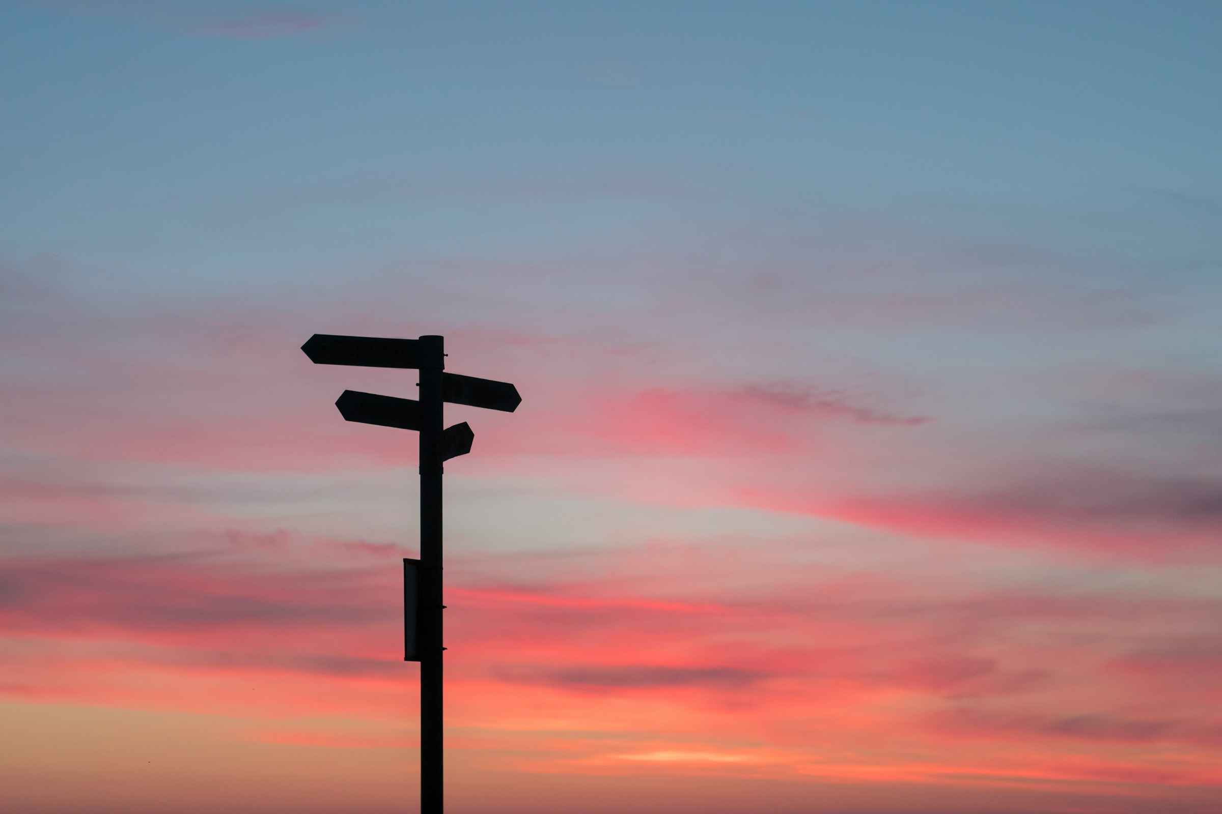 silhouette of road signage during golden hour
